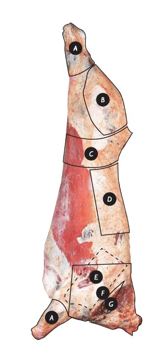 Beef Primal Cuts Diagram