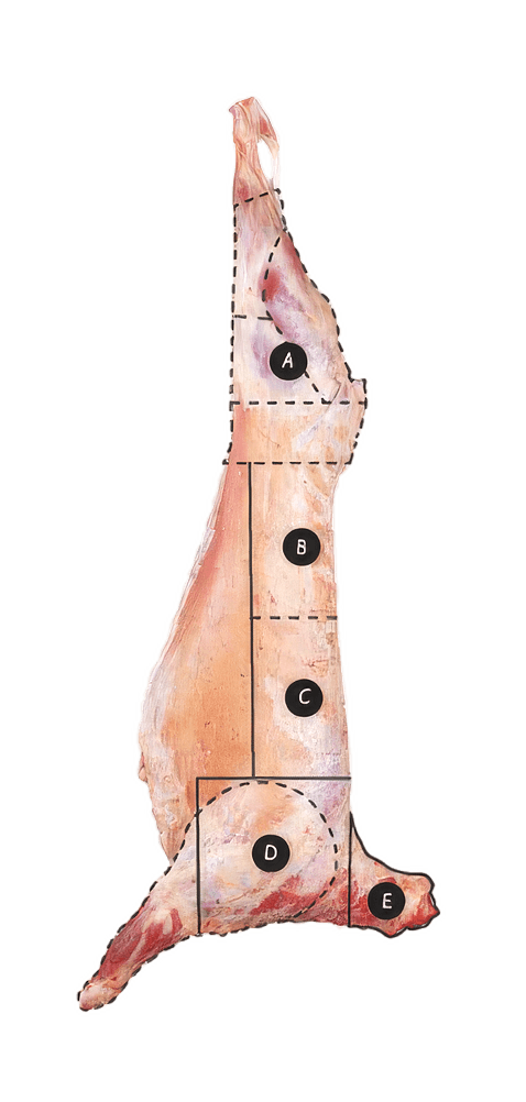 Lamb Primal Cuts Diagram