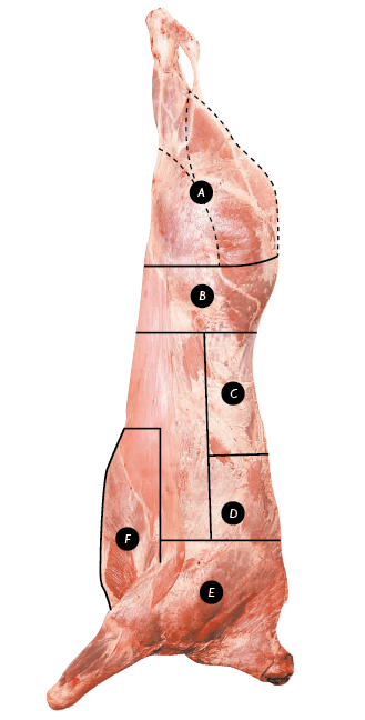 Veal Primal Cuts Diagram