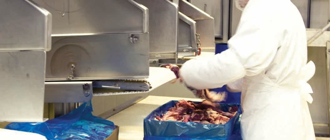 AUSMEAT standards – quality and hygiene in meat production