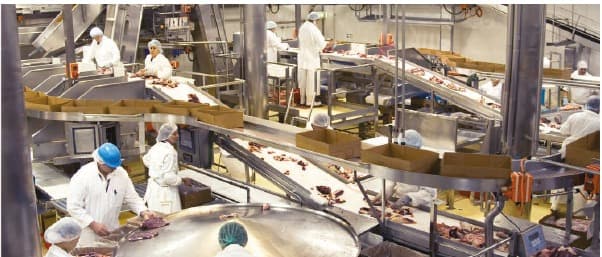 AUSMEAT standards – best practices at each stage of production