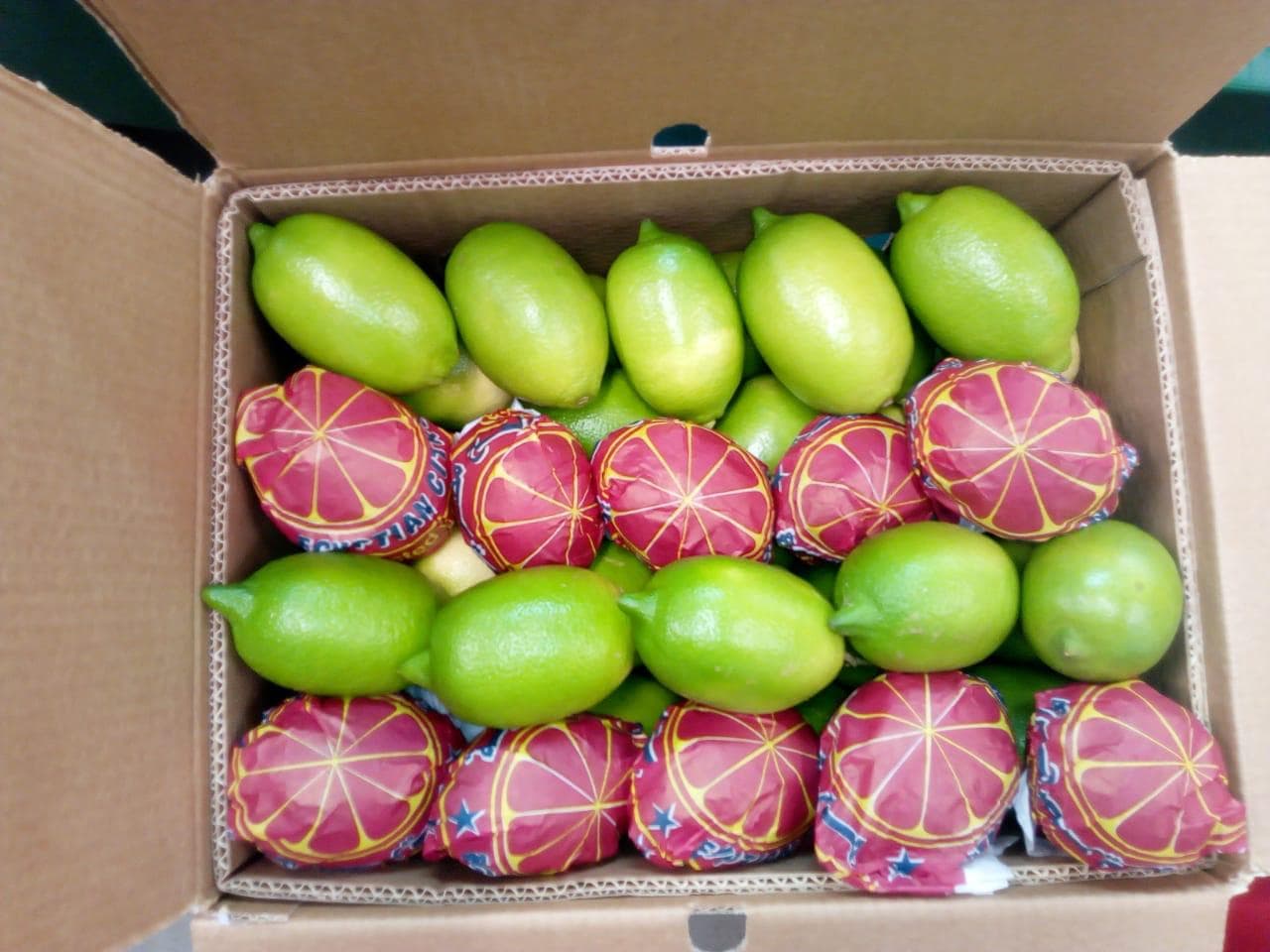 Egyptian Citrus - Fresh oranges, lemons, and citrus fruits