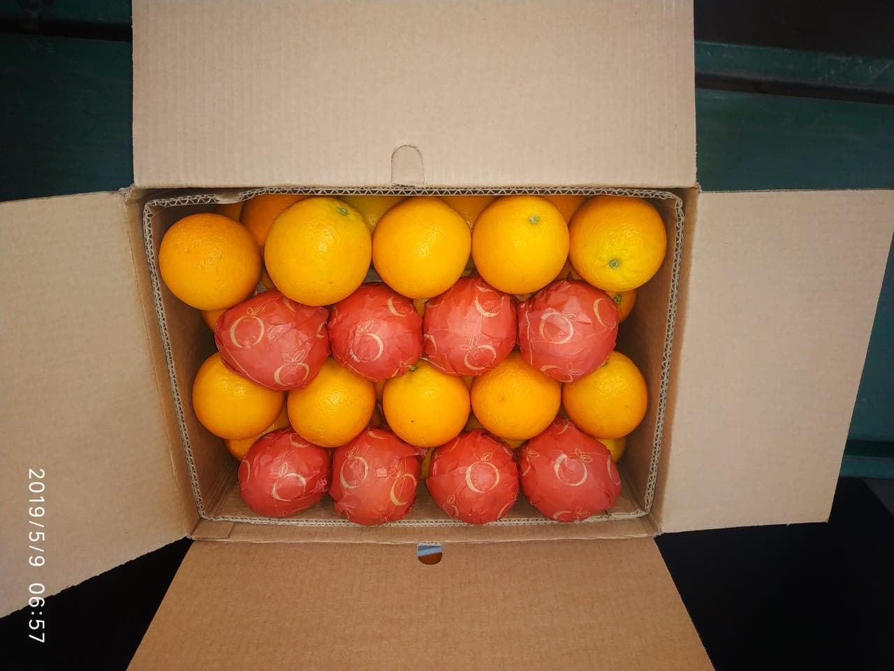 Egyptian Citrus - Fresh oranges, lemons, and citrus fruits