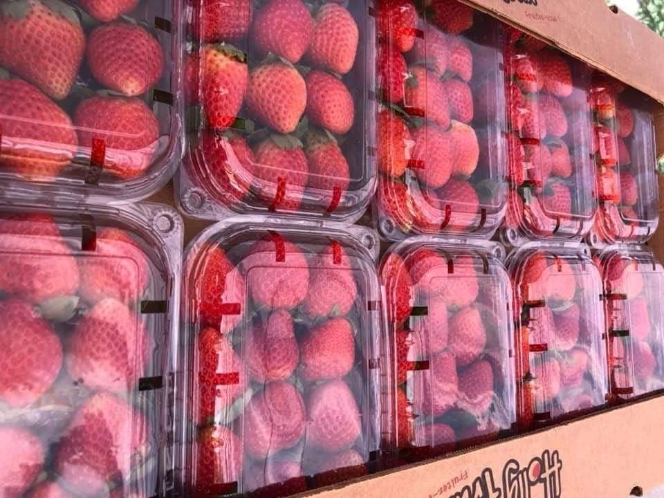 Egyptian Fruits & Vegetables - Fresh produce