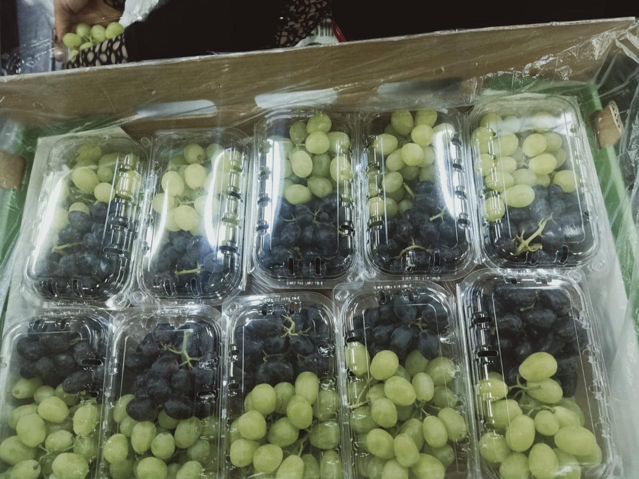 Egyptian Fruits & Vegetables - Fresh produce