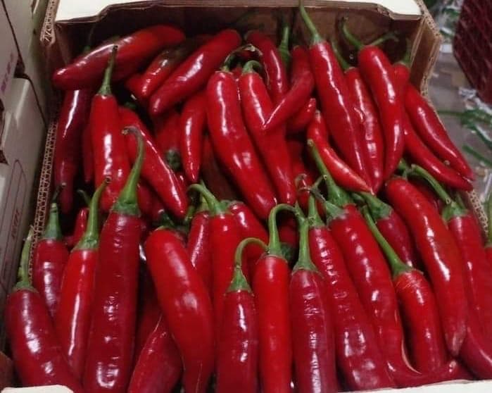 Egyptian Fruits & Vegetables - Fresh produce