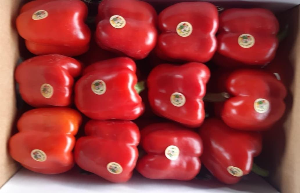 Egyptian Fruits & Vegetables - Fresh produce