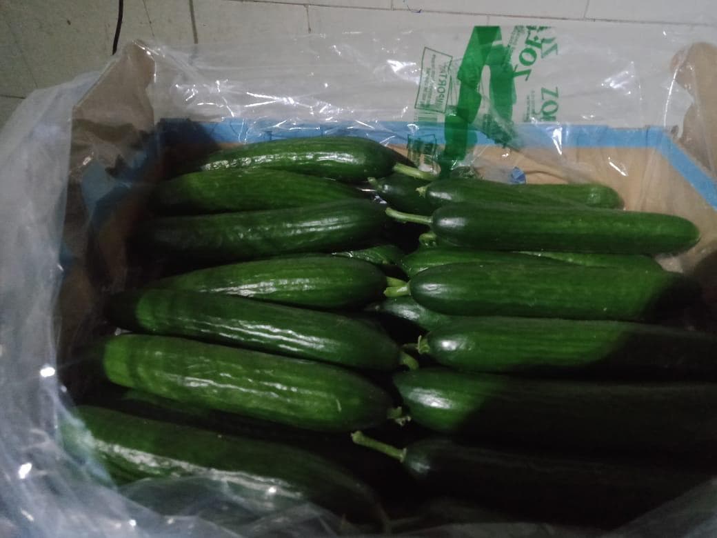 Egyptian Fruits & Vegetables - Fresh produce