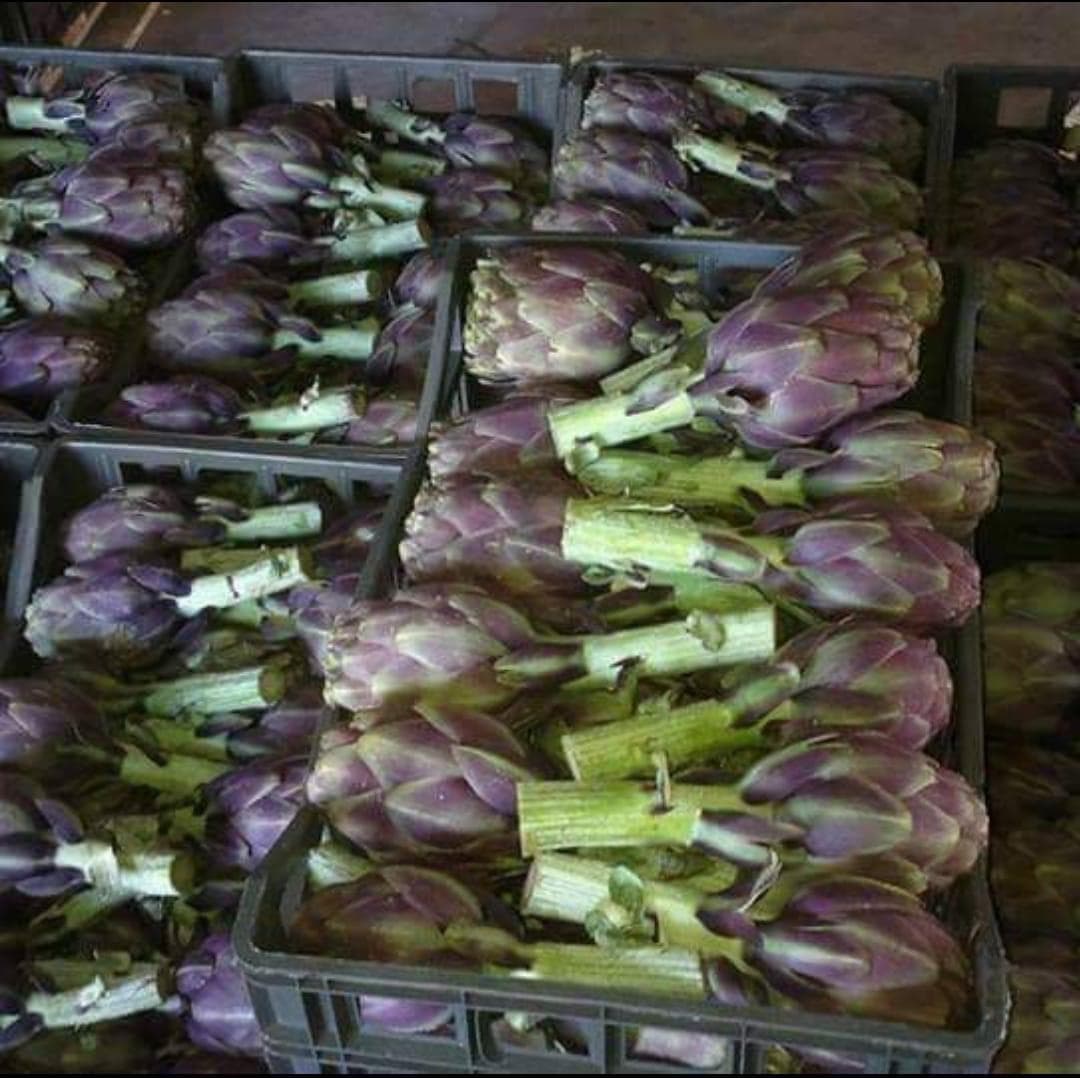 Egyptian Fruits & Vegetables - Fresh produce